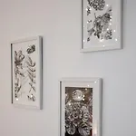 Expo Dream #33 By Goodnite Cz