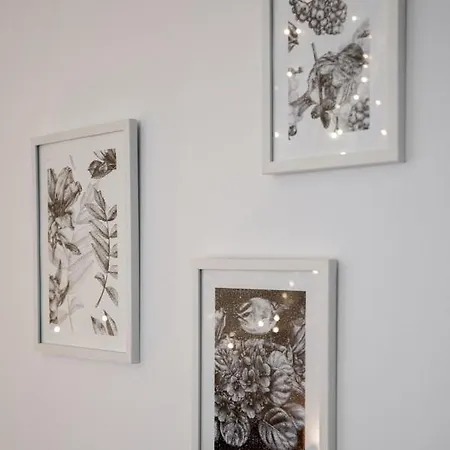 Expo Dream #33 By Goodnite Cz