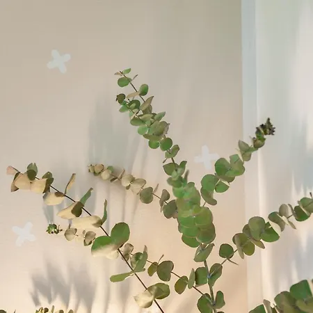 Expo Dream #33 By Goodnite Cz 4* Brno