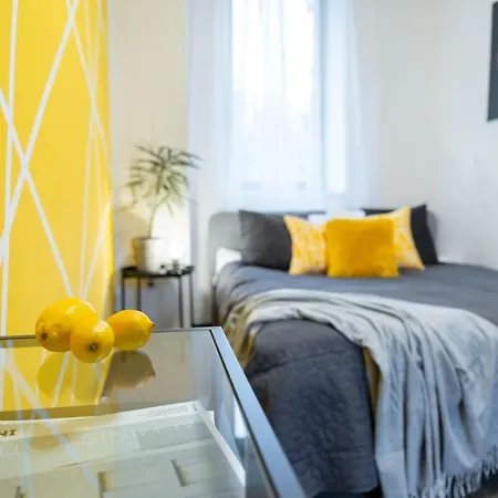 Expo Dream #33 By Goodnite Cz