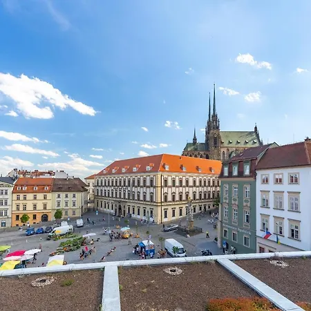 Expo Dream #33 By Goodnite Cz 4*